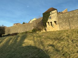 295-21-01-2026 IMG_3531